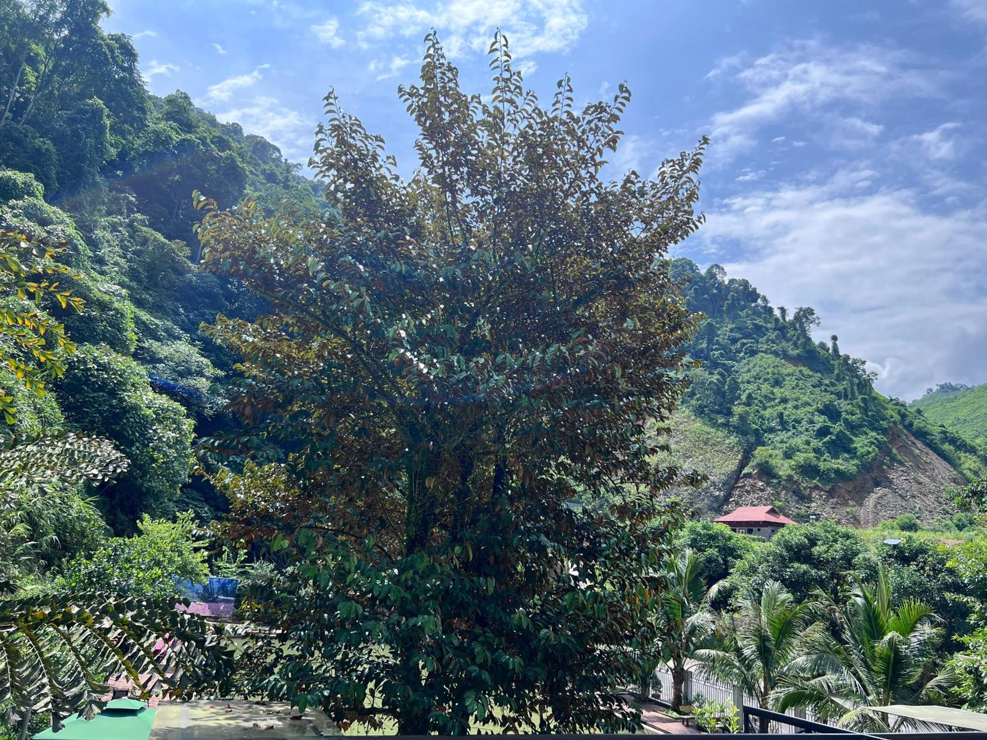 Bed and Breakfast Wind'S House Ha Giang Exteriér fotografie